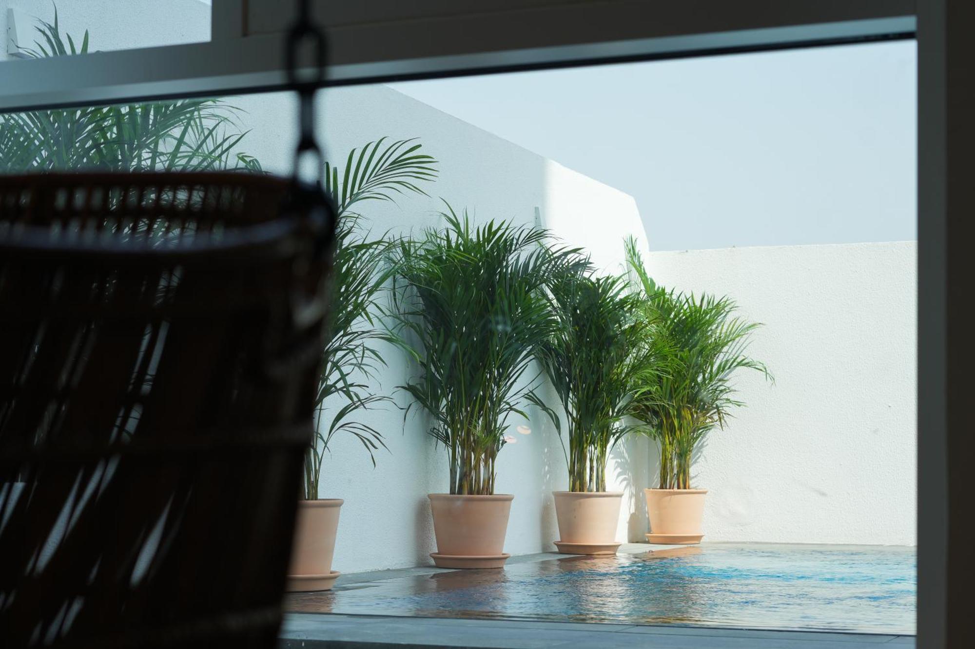 Shada Hotel Jumeirah Garden Дубай Экстерьер фото